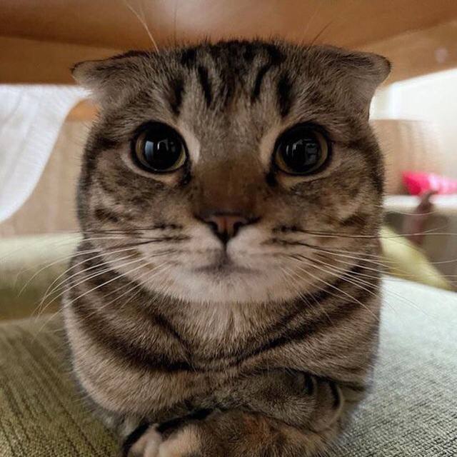 640x640