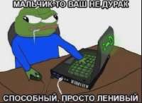 452x330