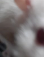 720x928
