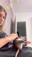360x640
