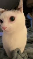 576x1024