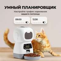 900x900