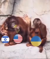 544x640