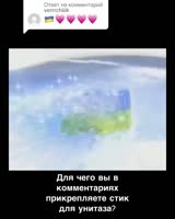 480x600