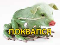 800x600