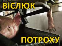 800x600