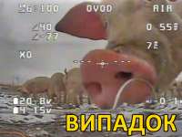 800x600