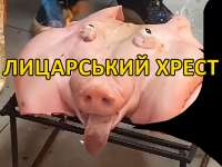 800x600