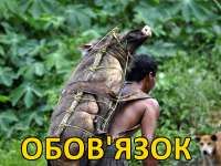 800x600