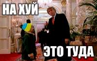 686x437