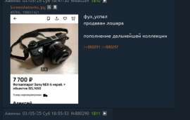 779x494