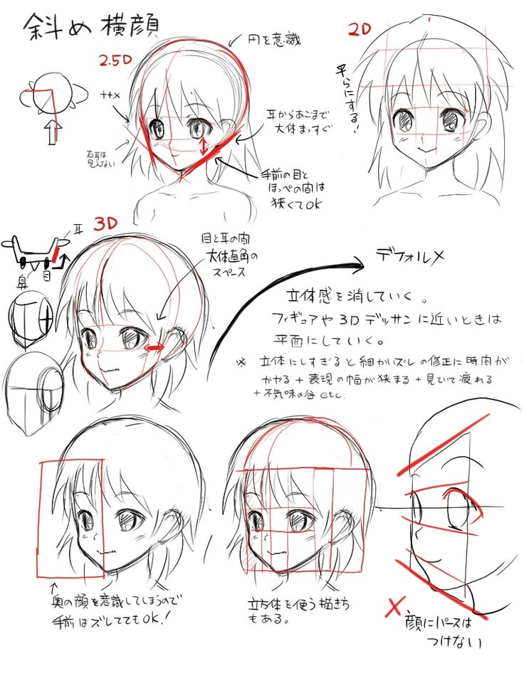 736x981
