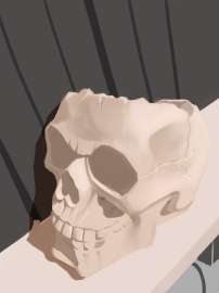 1500x2000