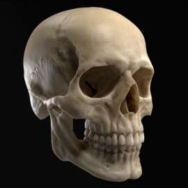 600x600