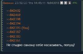 373x246