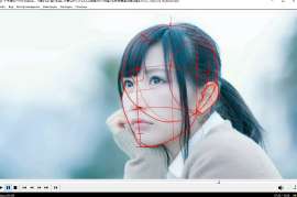 1257x835