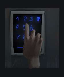 242x291