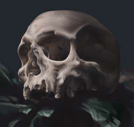 2628x2500