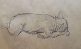 1197x720