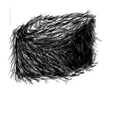 304x259