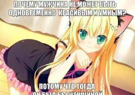 736x518