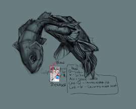 2108x1689