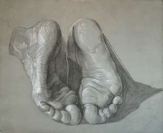 1200x981