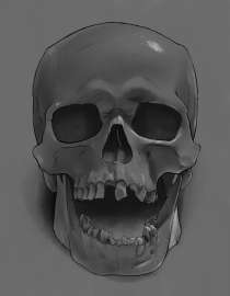 1225x1575