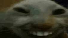 228x128