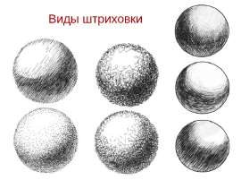 955x714