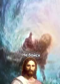 576x806