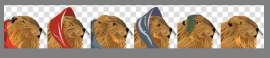 1595x344