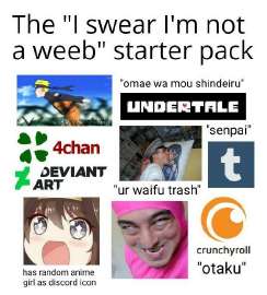 536x593