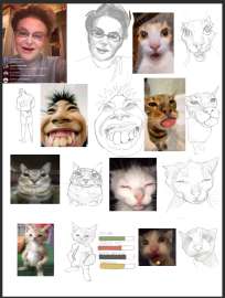 666x881
