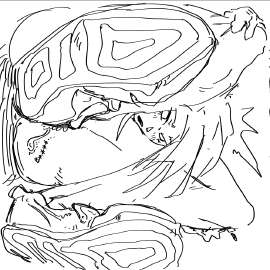 1000x1000