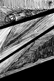 8006x11820