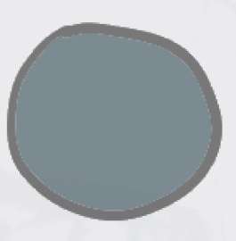 525x533