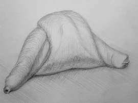 800x600