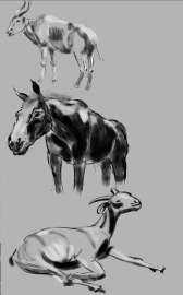 725x1165