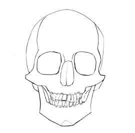 1254x1237