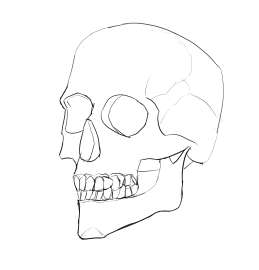 1295x1346