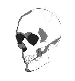 1150x1241