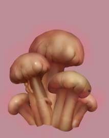 997x1262