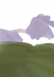 510x720