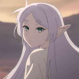 736x736