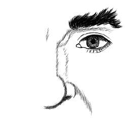 268x292