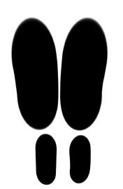 838x1280