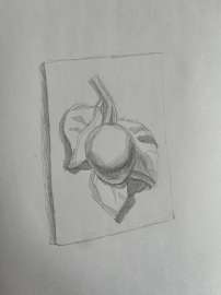 960x1280
