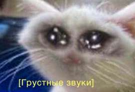 545x372
