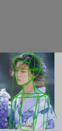 462x960